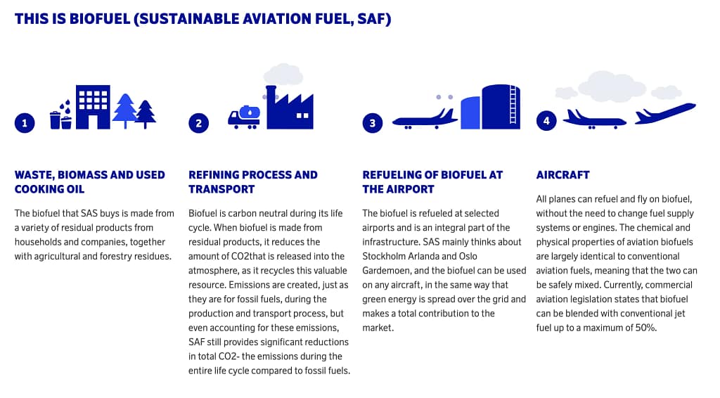 NEW SAS Biofuel Tickets With Extra EuroBonus Base Points (2023) AirLapse