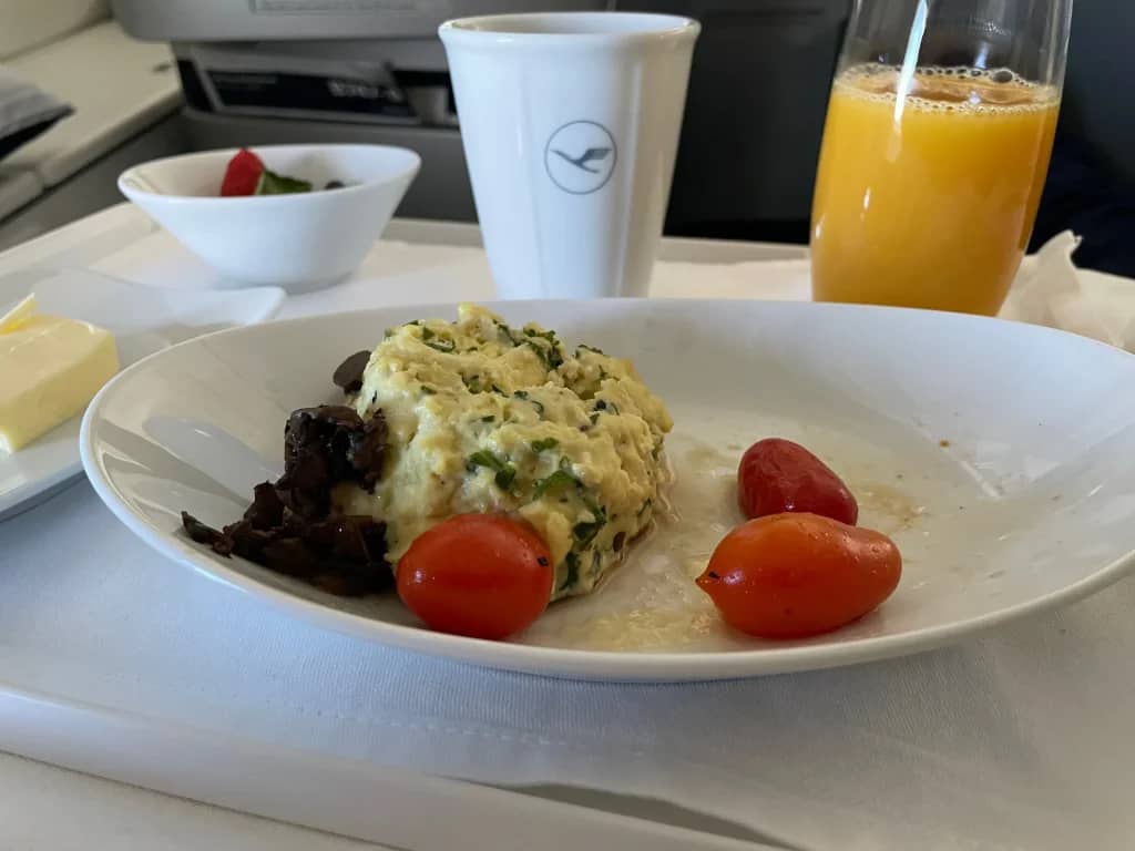 Lufthansa Buenos Aires To Frankfurt Business Class Review (2023) LH511