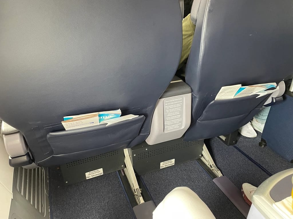 Copa 737-800 Business Class in 2023: Seat and Cabin