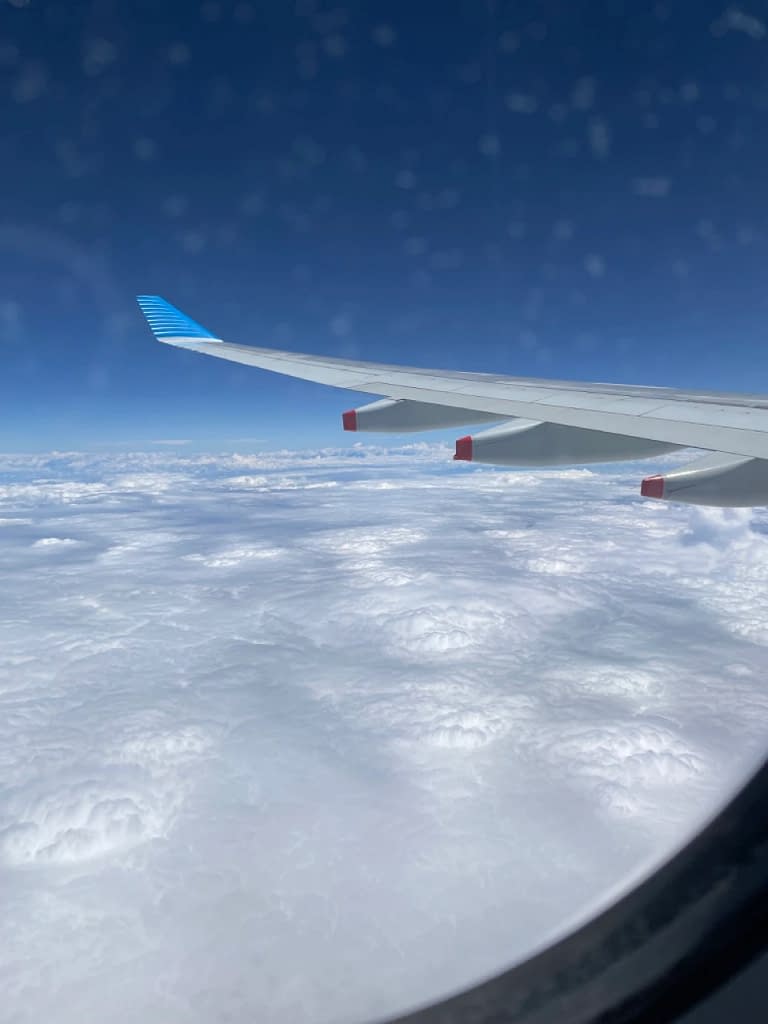 Aerolineas Argentinas A330-200 Economy Class (20)