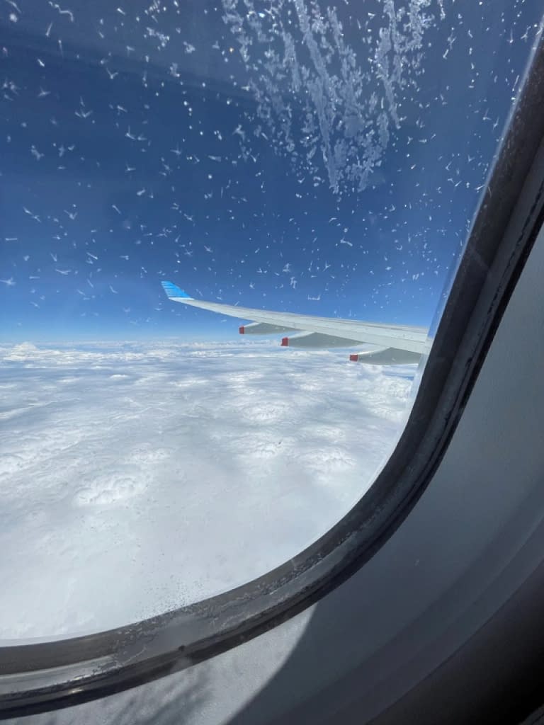 Aerolineas Argentinas A330-200 Economy Class (22)