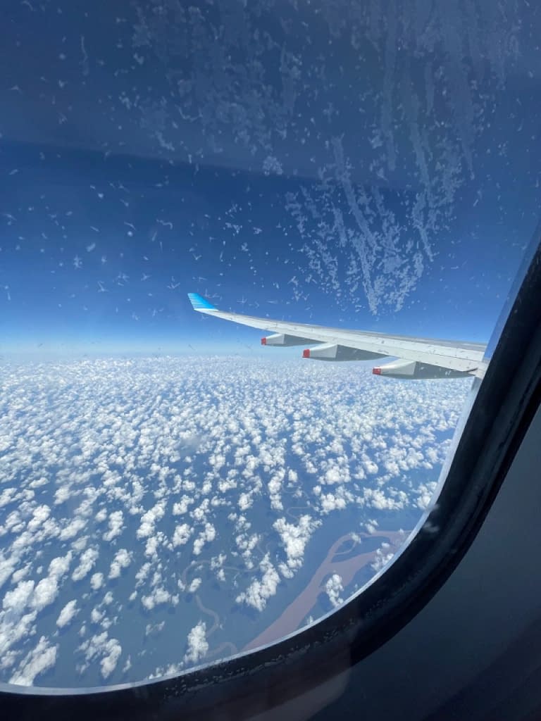 Aerolineas Argentinas A330-200 Economy Class (18)