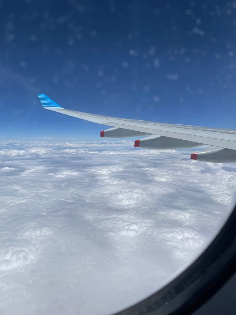 Aerolineas Argentinas A330-200 Economy Class (21)