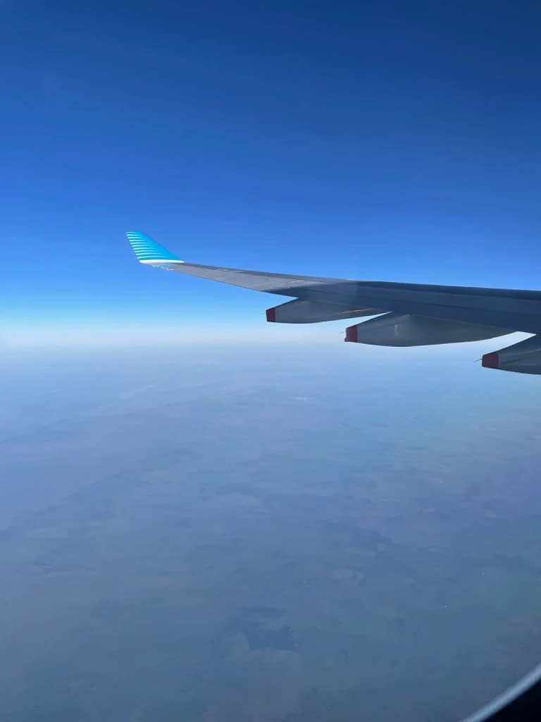 Aerolineas Argentinas A330-200 Economy Class (32)