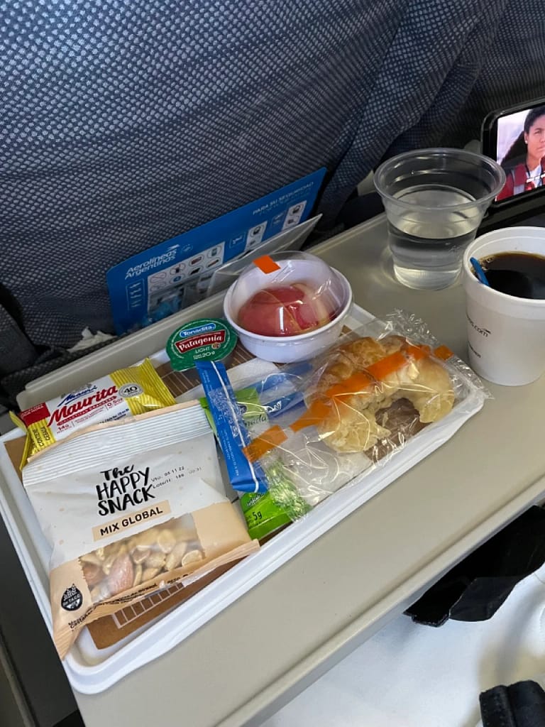 Aerolineas Argentinas A330-200 Economy Class (Breakfast, 6)