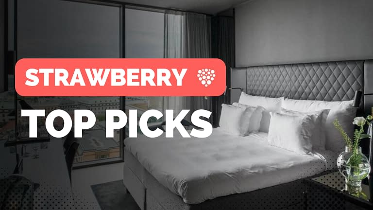 Strawberry Hotels To Explore In 2023 (Top 7 Picks)