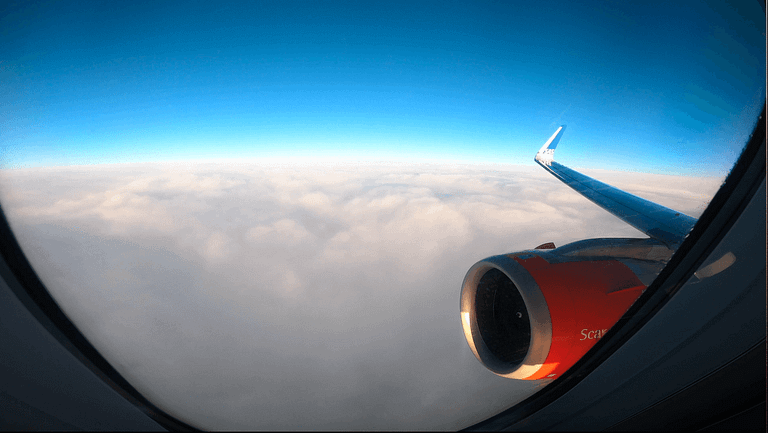 Brand New Scandinavian Airlines A320neo Stockholm to Copenhagen in SAS Plus (Premium Economy) [Trip Report]