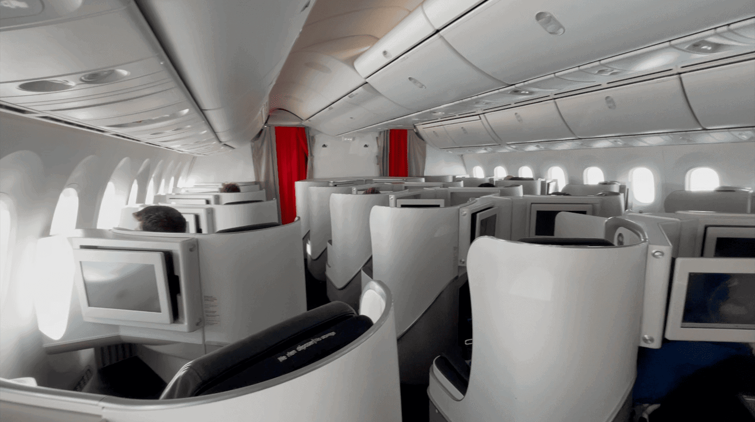 Air France 7879 Business Class Review 2022 Paris To Buenos Aires (CDG