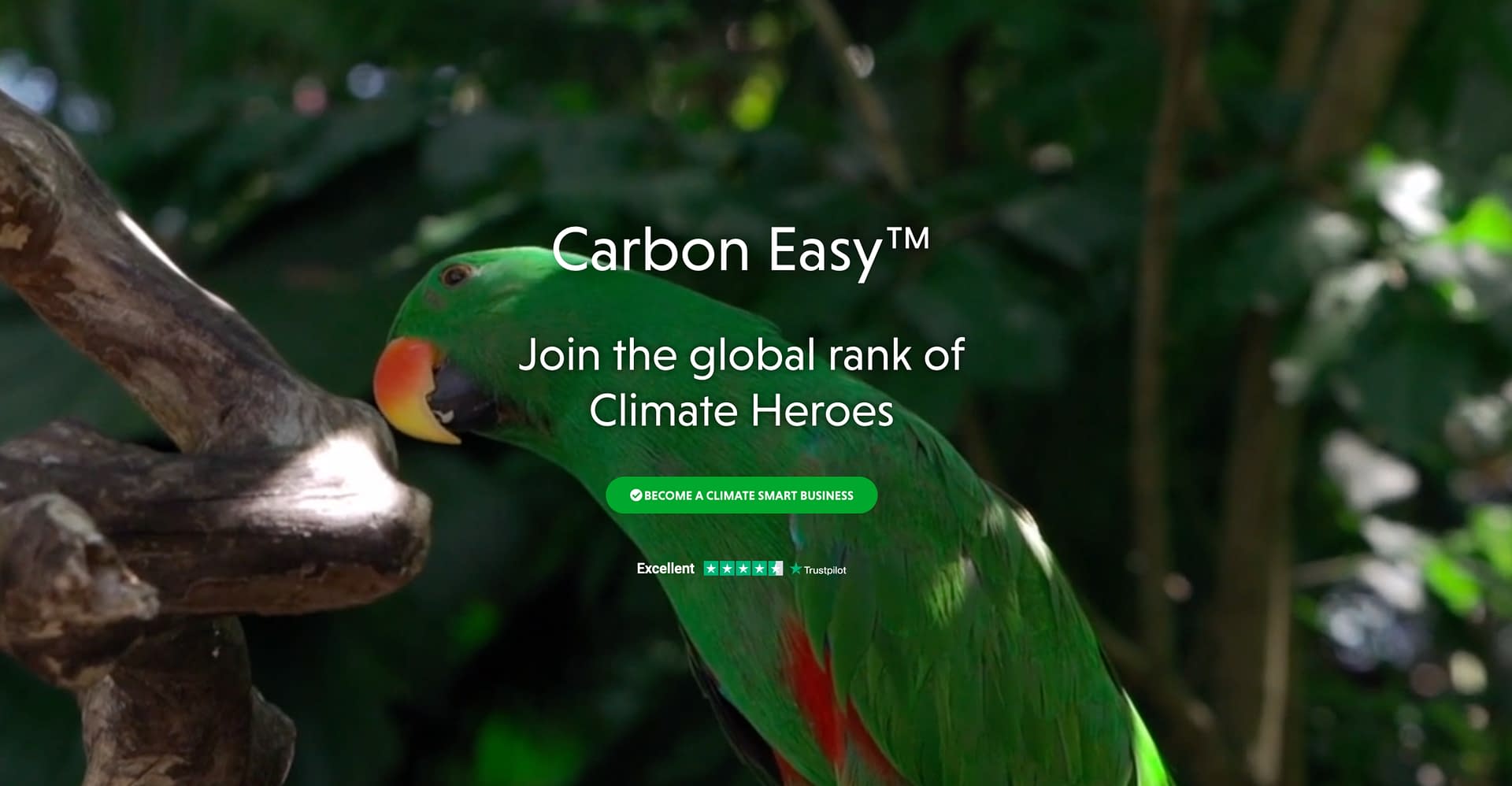 Carbon Easy: How to offset carbon footprint in 2023